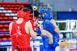 lol转区-波斯尼亚和黑塞哥维那队成功晋级，备受瞩目地将在一个国际足球盛典中竞逐的简单介绍