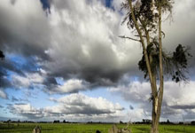 lol转区-比利时乒乓球队碾压中国乒乓球队，张本智和惊艳世界